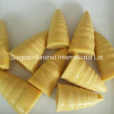 3000g Packing Canned Bamboo Shoots (HACCP ISO BRC)