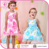 Children Clothing (wedding dress, Children Party Dress)