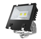 LED Outdoor Lighting Fixture IP65