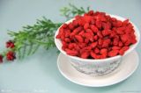 Low Pesticide Residues on Goji Berry 380