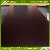 Dynea Brown Film Faced Plywood (W15025)