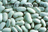 N. W. 400/D. W. 240g Canned White Kidney Beans