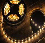 12V 60SMD LED Strip Light with CE