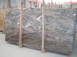Tropical Rain Forest Green Marble for Polished Slab