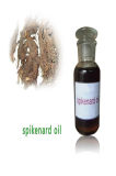 Natural Spikenard Oil