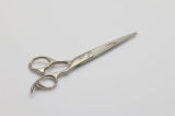 Hair Scissors (U-210)