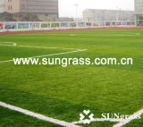 High Quality Plastic Grass Carpet for Football or Sports (MSTT)