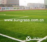 High Quality Plastic Grass Carpet for Football or Sports (MSTT)