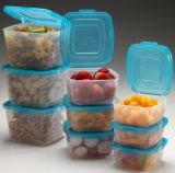 Clear Storage Container with Lid Portabel Storage Container (TV175)