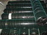 ISO 9001 Poultry Hexagonal Wire Netting