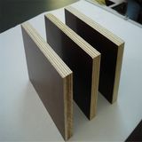 First-Class Film Faced Plywood with Black and Brown Color