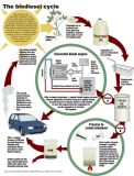 Biodiesel Making Machinery