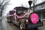 Event Celebration Train (SPL62)