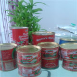 400g Nutritional Canned Tomato Paste Brand