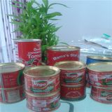 400g Nutritional Canned Tomato Paste Brand