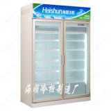 Haishun Freezer, Refrigeration, Cold Storage