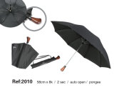 Two Folding Umbrella 2010