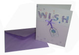 Video Greeting Card/Holiday Cards/Greeting Cards