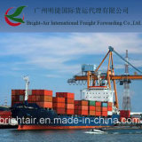 Efficient Freight Broker From China to Itajai Brazil