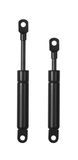 Nitrogen Gas Strut for Vehicles