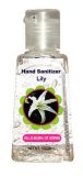 Hand Sanitizer Antiseptic OEM Hand Sanitizer Gel Brand