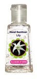 Hand Sanitizer Antiseptic OEM Hand Sanitizer Gel Brand