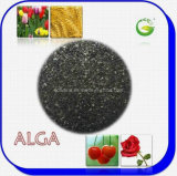 Seaweed Extract Organic Fertilizer (ALGA WS100)