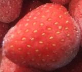 Frozen Strawberry (JHF01)