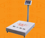 Electronic Platform Scale (TCS-1000)