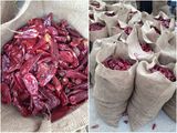Yidu Chilli