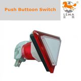 33mm Triangle Illuminated Push Button Switch