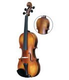 Violin (CV022)