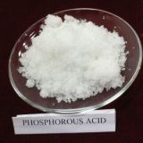 Munfacture Factory Use in Phosphorous Acid 85%