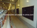 Automatic Poultry Equipment -Aframe