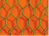 PVC Hexagonal Wire Mesh Netting