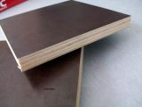 18mm Brown Film Faced Plywood