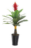 Bonsai Tree for Sale Artificial Flower Wholesale 373