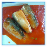 155 Grams Sardine in Tomato Sauce (ZNST0001)