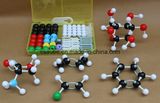 Organic Molecular Structure Model (CA-20050)