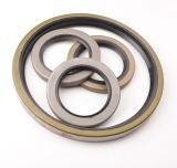 Tb Oil Seal with Stainless Steel Frame