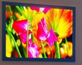 Indoor LED Display