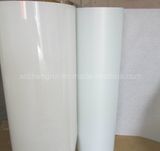 6021 Insulation Film