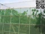 Meyabond Anti Insect Net for Orchard (MYB-006)