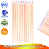 Medium Quality Natural Material Color Pencil