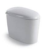 Sanitary Ware Ceramic Intelligent Toilet (YB0006)