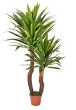Artificial Plants and Flowers of Yucca 123lvs 160cm