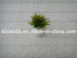 Artificial Plastic Grass Bonsai (XD14-14)