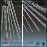 Factory Stainless Steel Train Cable/ Train Wire Rope