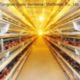 Poultry Equipment of Chicken Cage System