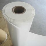 Insulation Pet Polyester Film